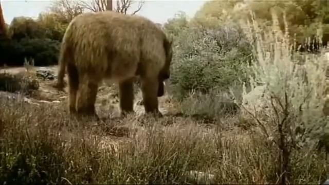 Errores científicos en Viaje a la Prehistoria Episodio 2 Chicago Parte 2 смотреть онлайн