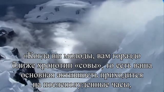 Вы — жаворонок или сова Вините в этом предков! — Статья смотреть онлайн