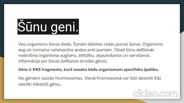 Kas ir šūnas. смотреть онлайн