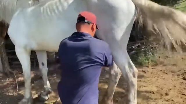 Талас обласы Кара Буура р Аманбаев айылы "Кумуш Булак"эсалуу борбору смотреть онлайн
