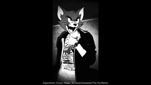 Скриптонит, Truwer, Райда Ее Талия Аномалия (Тик Ток Remix) смотреть онлайн