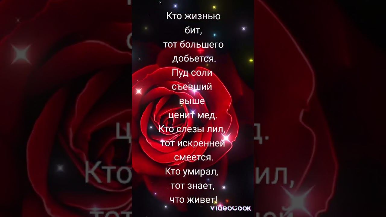 "Кто жизнью бит...." О. Хаям. смотреть онлайн