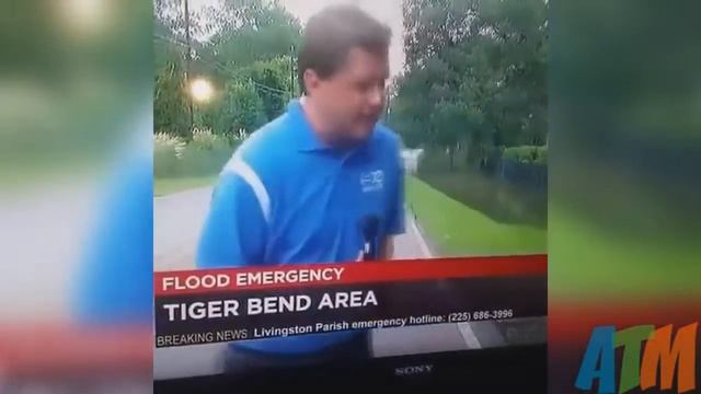 ЛУЧШИЕ ПРИКОЛЫ ЗА АВГУСТ 2016 COUB VINE КУБЫ ВАЙНЫ смотреть онлайн