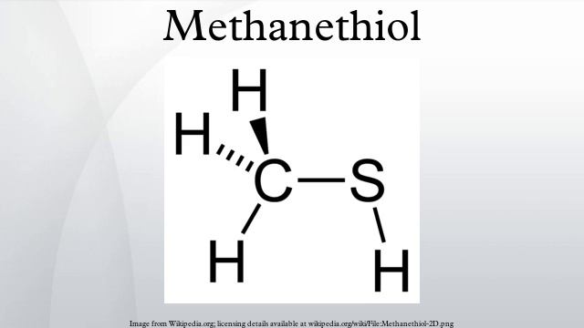 Methanethiol смотреть онлайн