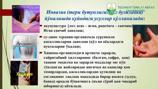 Mavzu Xalq tabobati tajribasining zamonaviy tibbiyotda qo'llanilishi смотреть онлайн