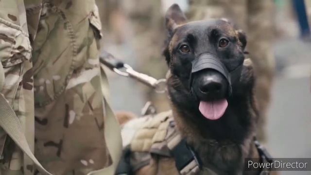 Соціальний відеоролик «Завдяки тобі» Дуб'євський НВК смотреть онлайн