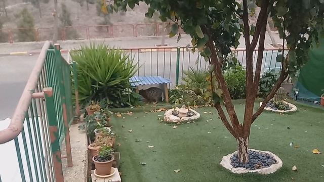 Весёлые питомцы смотреть онлайн