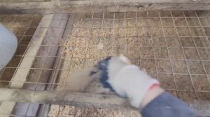 Как добиться сухой подстилки в курятнике в зимний период