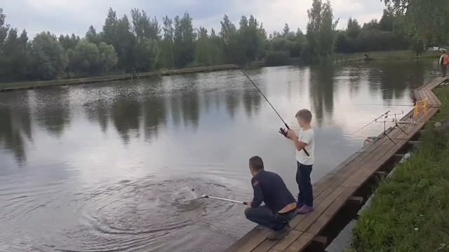 Ловля карпа на 1-м Га РК"ФИШКА"ПЕТРЯИХА смотреть онлайн