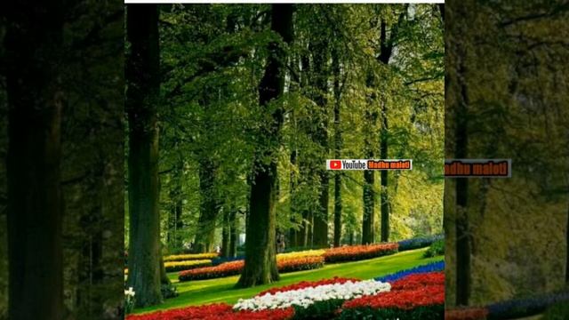 Tujse Naaraj Nahin Zindagi (AUDIO) Movie -Masoom (1983) смотреть онлайн