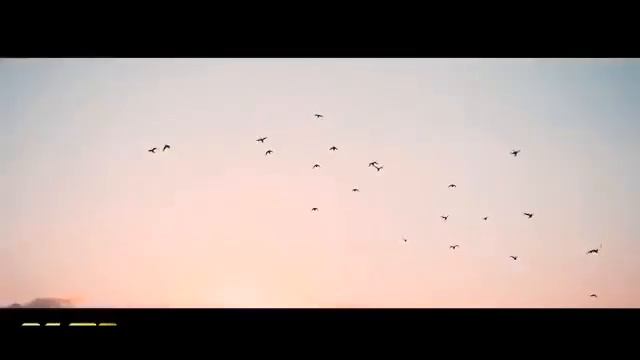 Эту песню ищут все хахахп смотреть онлайн