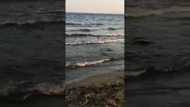 Нерест кеты.пгт.Приморский.Хасанский р-он.2019 г. смотреть онлайн