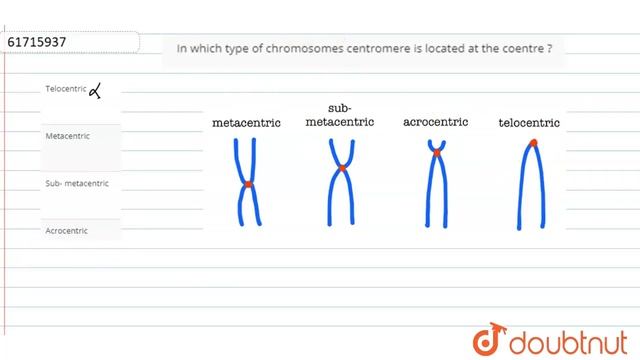 In which type of chromosomes centromere is located at the coentre ? смотреть онлайн