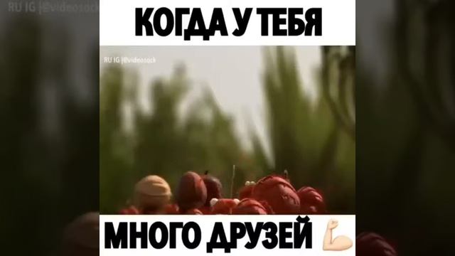 Хорошо иметь много друзей смотреть онлайн