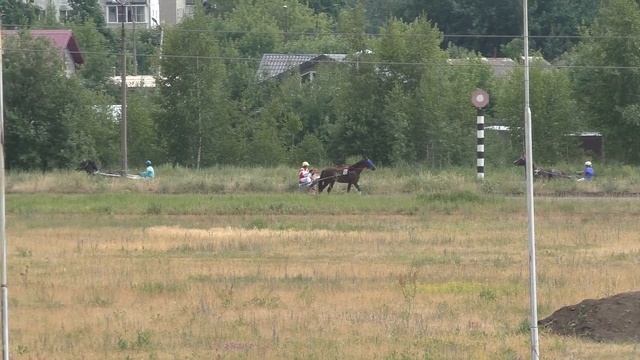1 Раменский ипподром 15.06.2019 - Лошади рожд. 2017г. орловской породы смотреть онлайн