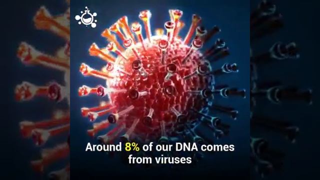 Let's get familiar with human genome смотреть онлайн