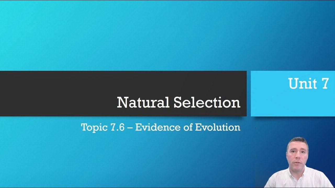 7.6 - Evidence of Evolution смотреть онлайн