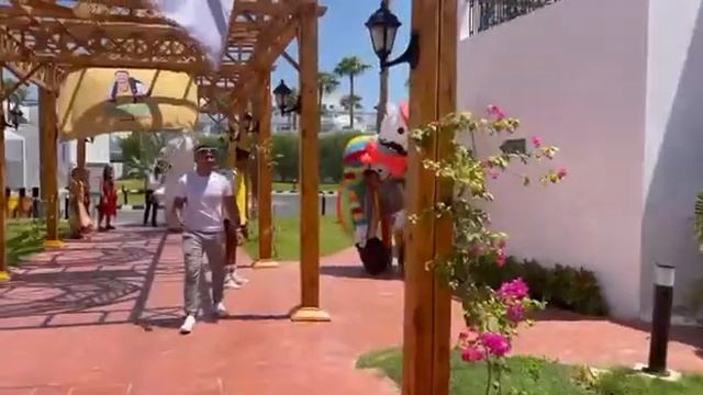 Готовимся к встрече наших групп в отеле Sunrise Remal Beach (Египет, Шарм-Эль-Шейх) 🇪🇬 ONETOUR смотреть онлайн
