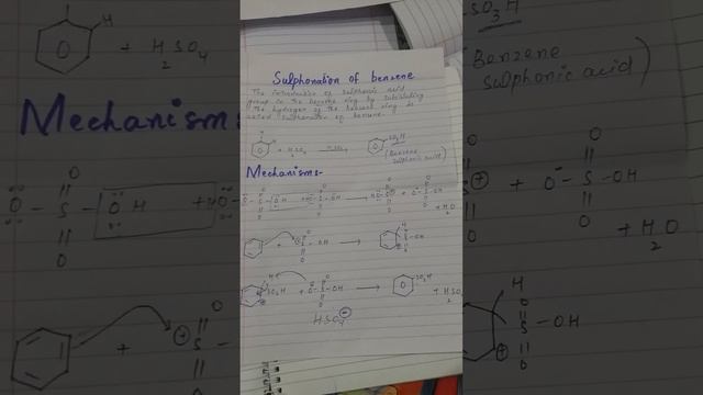 sulphonation of benzene with mechanism /Fsc and Bs level/ #chemistry смотреть онлайн