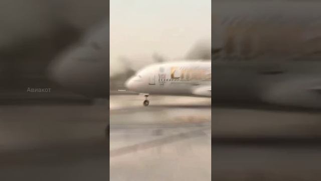 4.mp4 смотреть онлайн