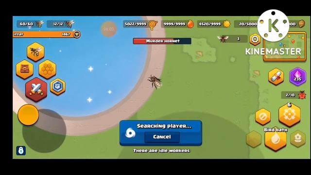 playing pocket Bees part 95 смотреть онлайн
