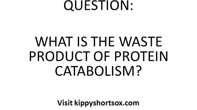 Clinical Chemistry Proteins and Amino Acids Q & A смотреть онлайн