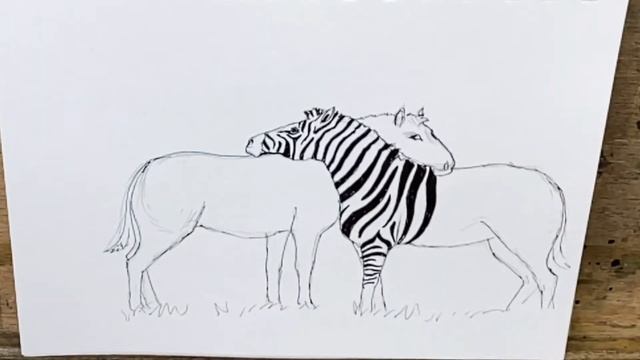 Micron pen zebra drawing demo смотреть онлайн