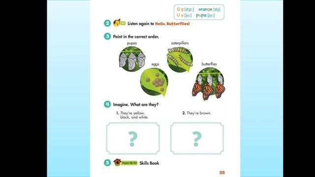 Yeni 2-ci sinif İngilis dili.Unit 6.Lesson:3(səh 54,55) смотреть онлайн