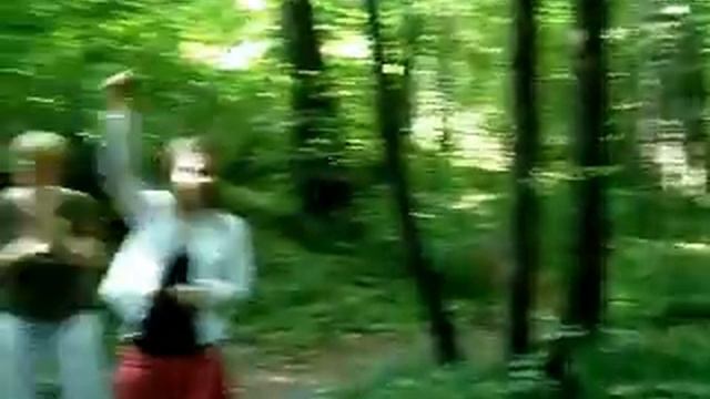 Комарики,комарики!!! смотреть онлайн