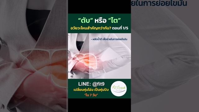 ตับหรือไต อวัยวะไหนสำคัญกว่ากัน? ตอนที่ 1 #ตับ #ไต #สุขภาพดี #เผาผลาญไขมัน #เสริมภูมิคุ้มกัน смотреть онлайн