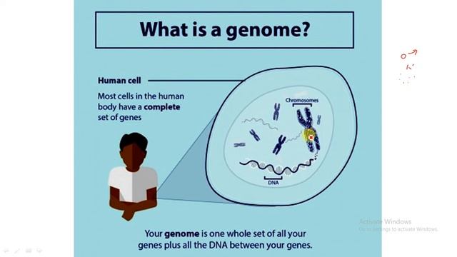 Genome Mapping in Indian Ocean | What is Genome Mapping? | смотреть онлайн