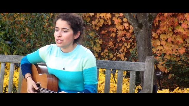 The 13 Sessions Project: I Wish You Would (Acoustic Cover) - Taylor Swift смотреть онлайн