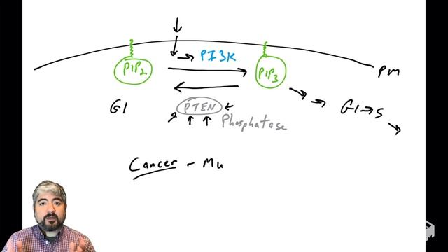 PI3K/Akt pathway - part 5: PTEN смотреть онлайн