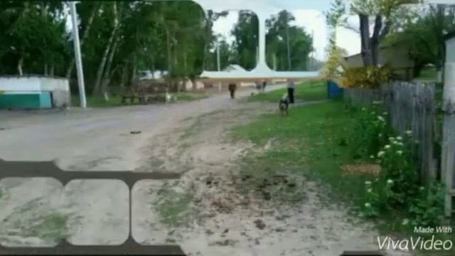 Лайбұлақ смотреть онлайн