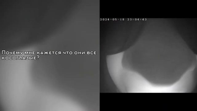 Реакция Шаранутого Космоса. [Реакция ШК на ТТ] RU/UK