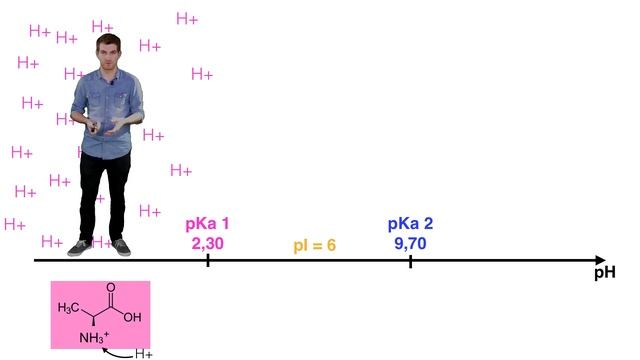 [UE14] Ionisation des acides aminés смотреть онлайн
