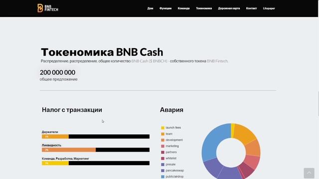 Обзор первого проекта BNB FINTECH смотреть онлайн
