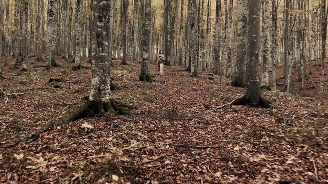 Danza d'autunno in Cansiglio смотреть онлайн