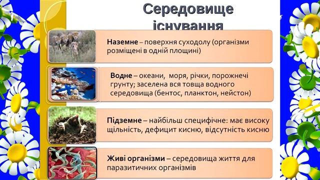 Природознавство (5 клас). Середовище живих організмів. Вчитель: Аністратенко Аліна Аркадіївна смотреть онлайн