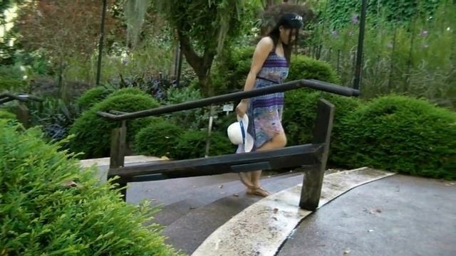 Botanic Garden Singapore Memories смотреть онлайн