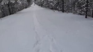 ВПО 237 366 magnum по швеллеру 5мм и по капусте со 100м.