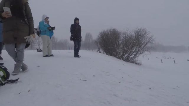 Тренировка на беговелах с лыжами в Солнечной долине смотреть онлайн