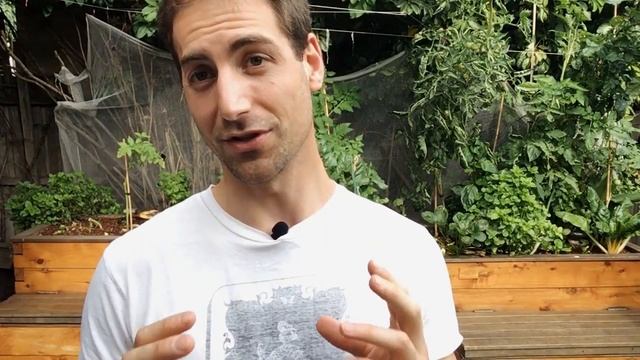 pH Control in Aquaponics (2018) смотреть онлайн