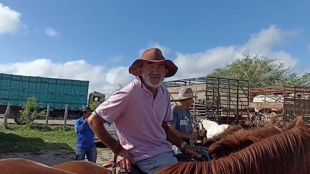 FEIRA DE CAVALO 🐎 EM CACHOEIRINHA PE DIA 25/04/2024 смотреть онлайн