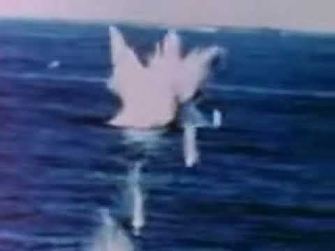 Guncam plane chronics of WW 2, Pacific Theatre of war смотреть онлайн