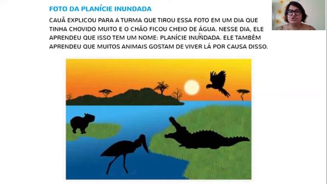 FF2 - PANTANAL FLORA E FAUNA - NOVEMBER 10TH смотреть онлайн