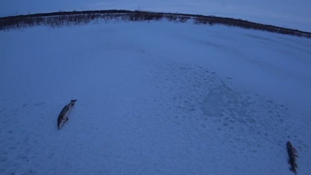 Третий выезд за хариусом. смотреть онлайн