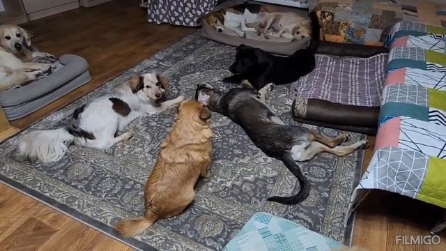 Вечерело😊 смотреть онлайн