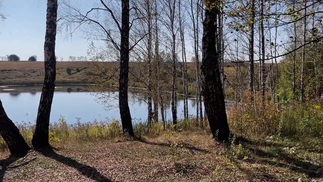 🍂Осенний мини-влог🍂 Ловим последние теплые дни , и наслаждаемся тишиной леса 🍁 смотреть онлайн