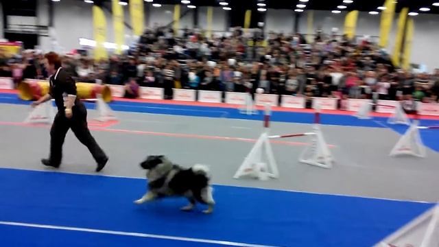 Наташа и Эля смотреть онлайн